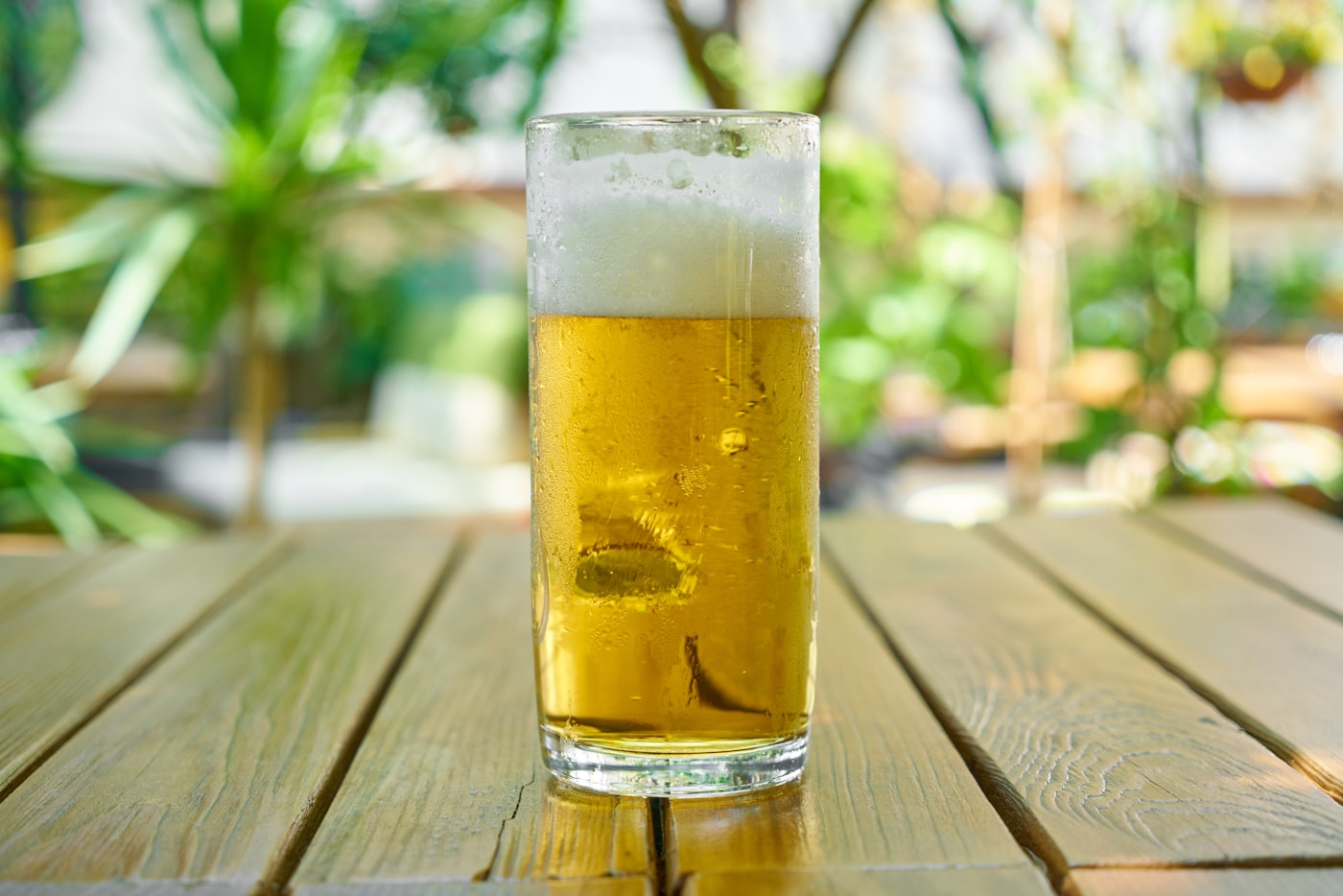 Light lager (lager clara): ficha de estilo y receta casera