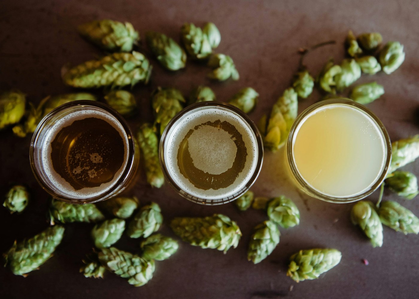 Receta de IPA con extracto de malta (lote de 20 L)